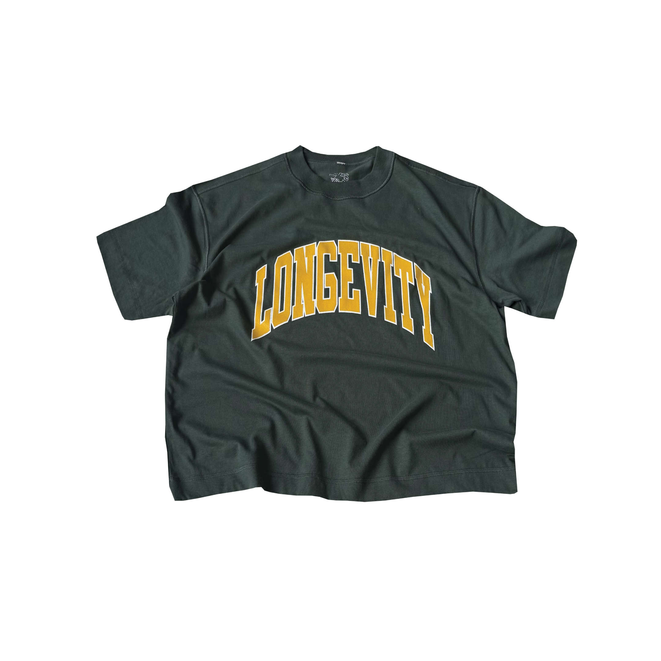 arch_heavyweight boxy tee