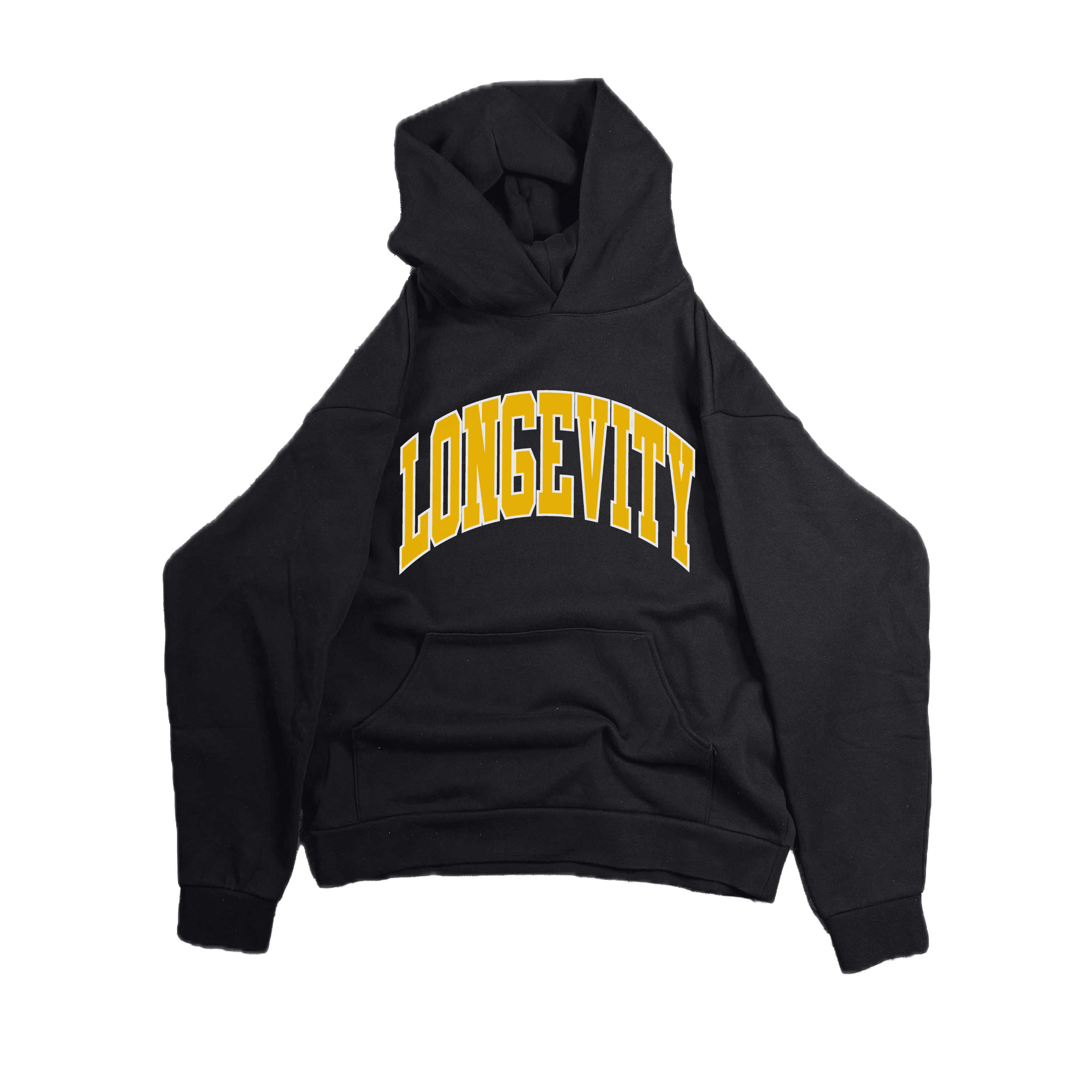 arch_heavyweight hoodie
