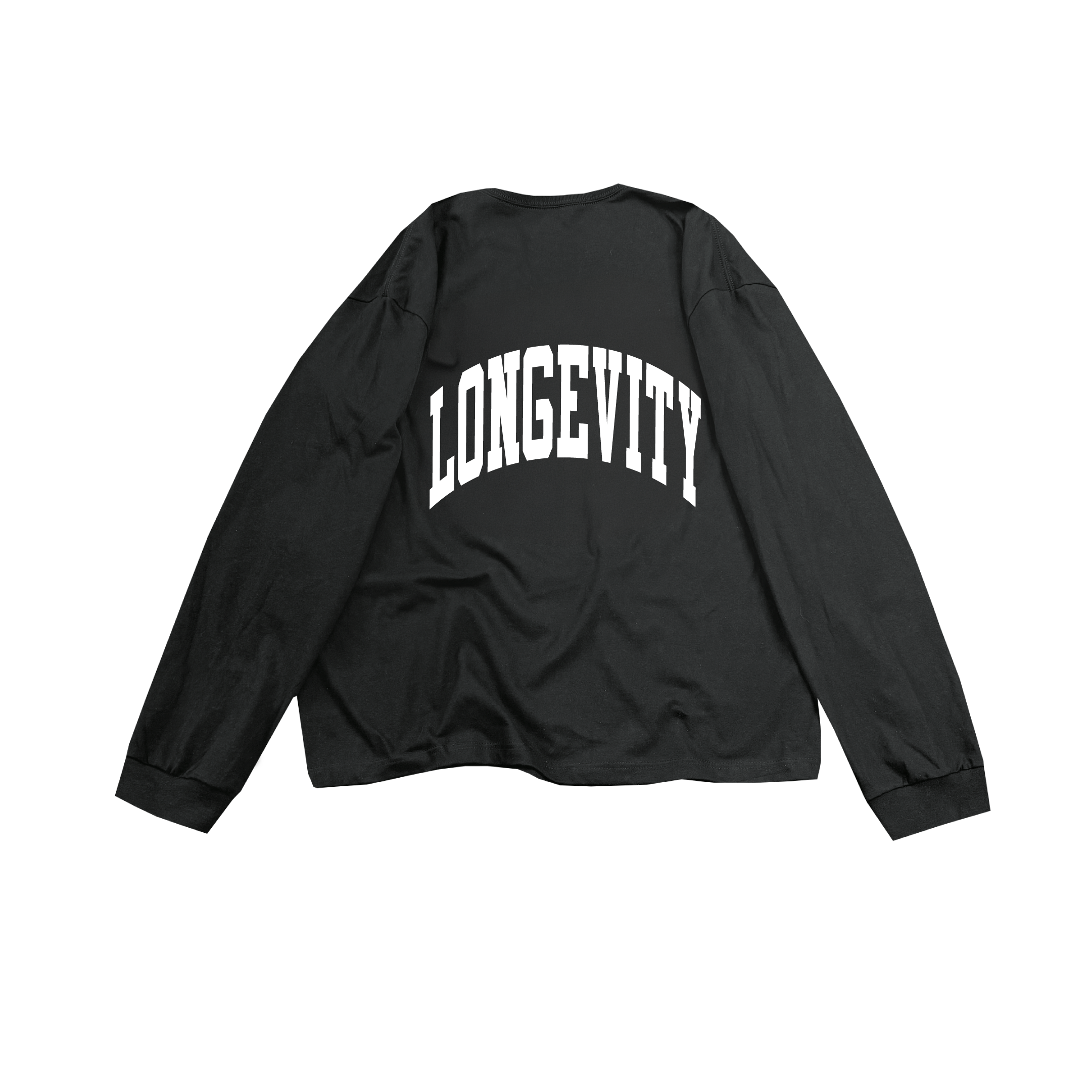 arch_heavyweight longsleeve tee