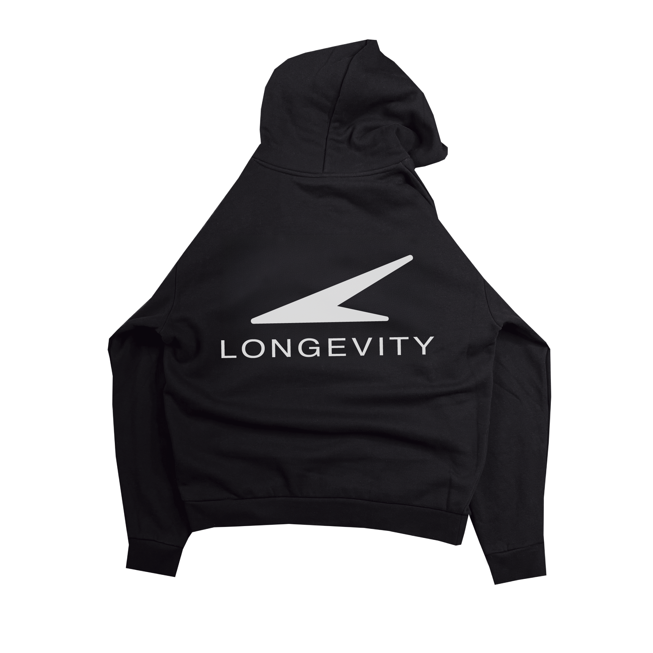 speed_light heavyweight hoodie